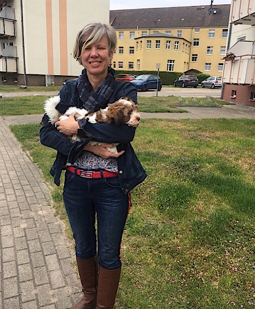 Welpe Bolonka Zwetna auf dem Arm einer blonden ca. fünfzigjährigen blonden Frau