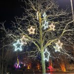 Beleuchteter Baum mit Sternen