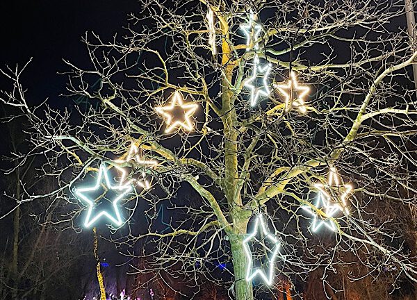 Beleuchteter Baum mit Sternen