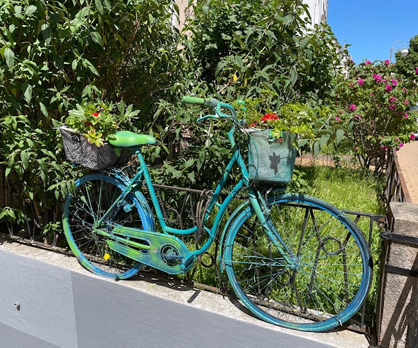 grünes Fahrrad auf eine Mauer gestellt mit Blumenkästen voller blühender farbigen Blumen
