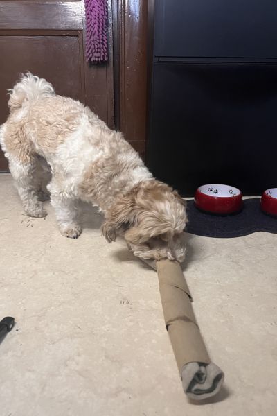 12 von 12 im Februar 2026