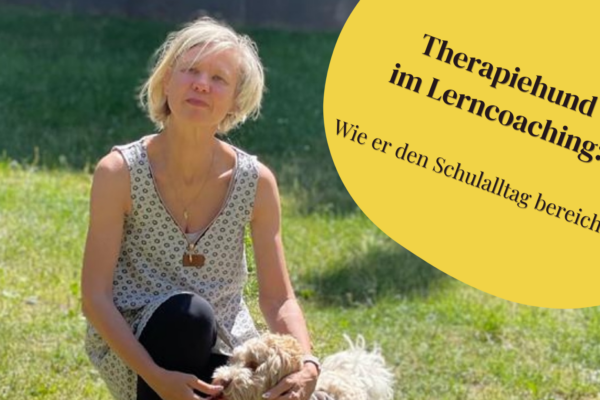 Therapiehund im Lerncoaching: Wie er den Schulalltag bereichert