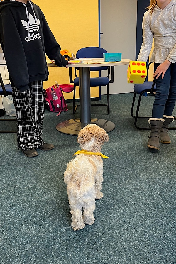 Therapiehund im Lerncoaching: Bolonka Zwetna würfelt zusammen mit zwei Grundschülern