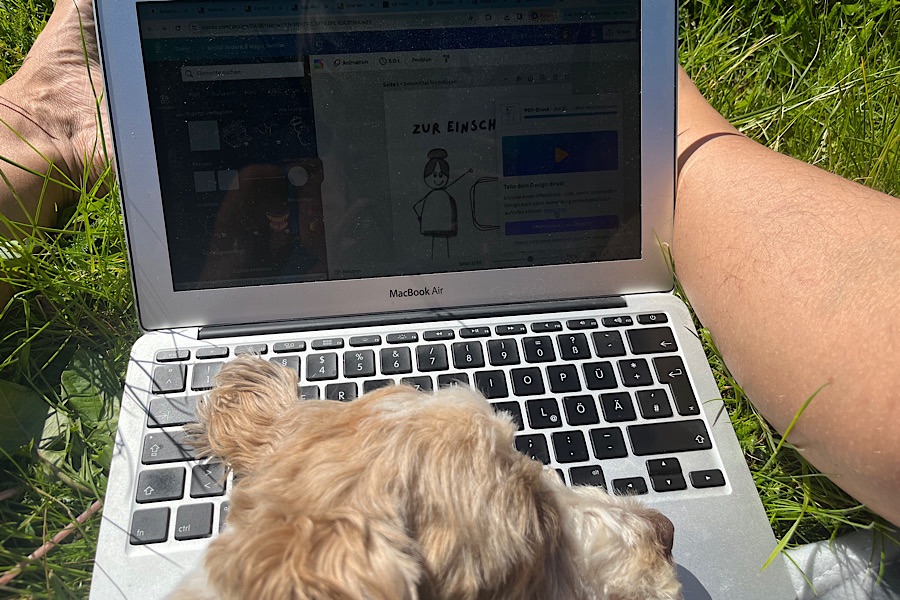 Therapiehund im Lerntraining: Bolonka Zwetna liegt mit seinem Kopf auf der Tastatur des Laptops