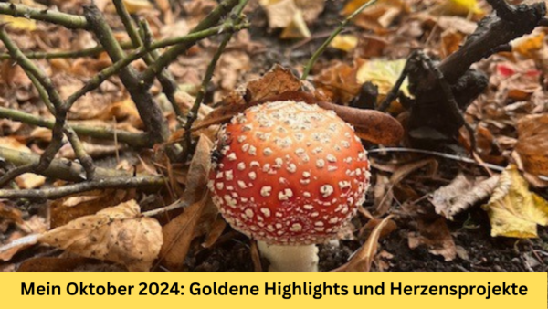 Monatsrückblick Oktober 2024: Goldene Highlights und Herzensprojekte