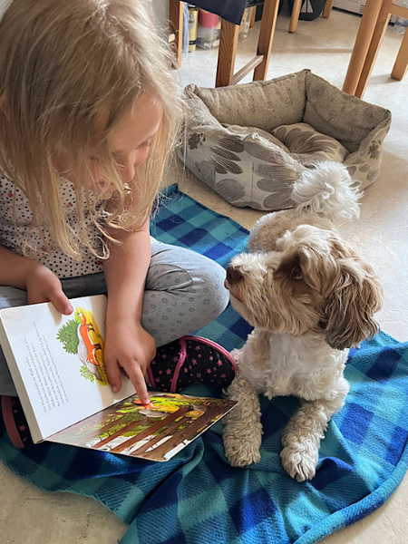 Mit Hund und Herz: Lernen das bewegt; blondes Kind und Bolonka Zwetna lesen zusammen in einem Buch