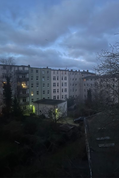 12 von 12 im Januar 2025; Blick aus dem Fenster morgens 7:30 Uhr