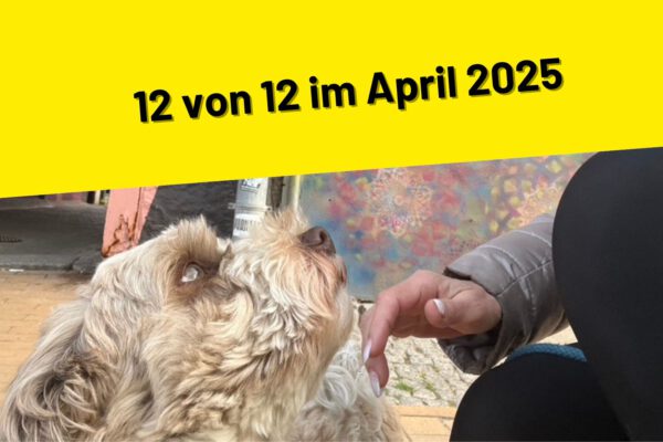 12 von 12 im April