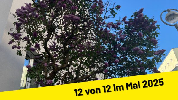 12 von 12 im Mai 2025