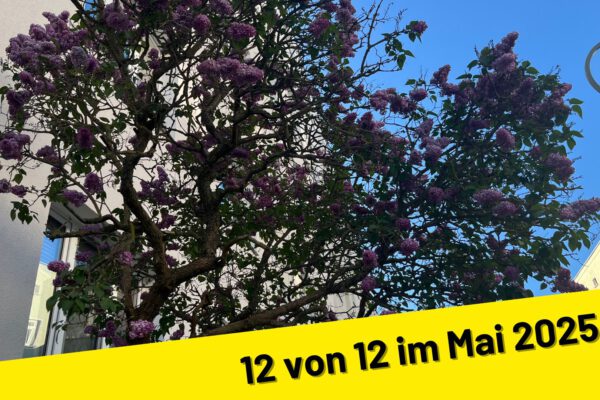 12 von 12 im Mai 2025