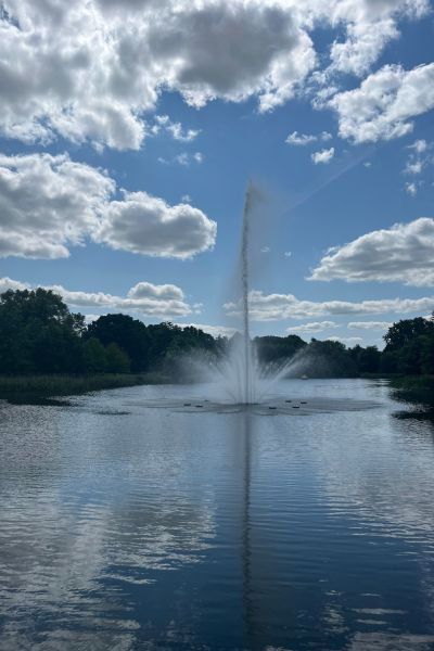 12 von 12 im Juni: Springbrunnen in einem Teich
