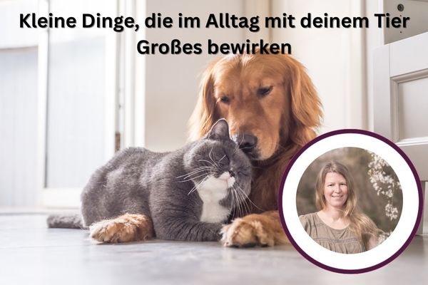 Was kleine Dinge im Familienalltag bewirken