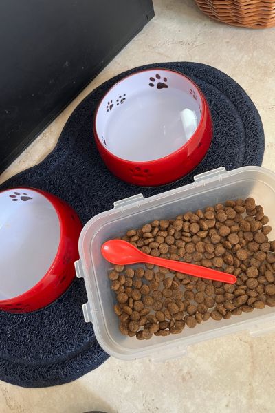 12 von 12; blaue Matte mit zwei roten Hundenäpfen, davor steht eine eckige Schale mit Hundefutter und einem roten Plastiklöffel darin