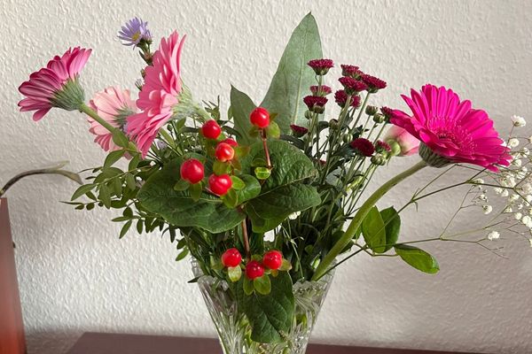 Monatsrückblick 2025: Blumenstrauß mit roten Beeren und pinkfarbenen Gerberas in einer Glasvase auf der Kommode