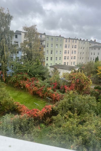 12 von 12 im Oktober 2025; herbstlich anmutende Gärten, in denen Bäume und Sträucher mit gelben, roten, grünen Blätter stehen vor einer Häuserreihe