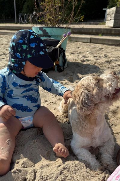 Was ich mit Sorglos lernen bewirken will: einjähriger Junge im blauen Shirt sitzt neben Bolonka Zwetna und streichelt ihn