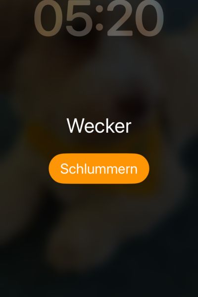 12 von 12 im November 2025Die Aufwachmusik ertönt.