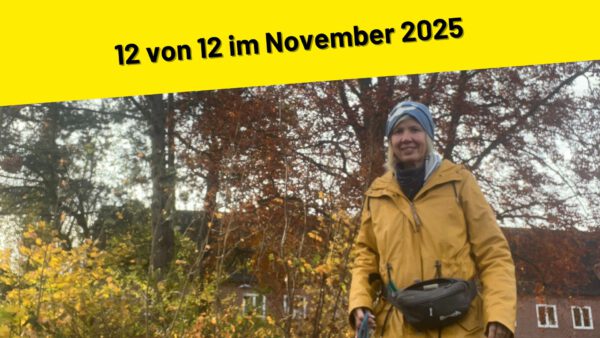 12 von 12 im November 2025