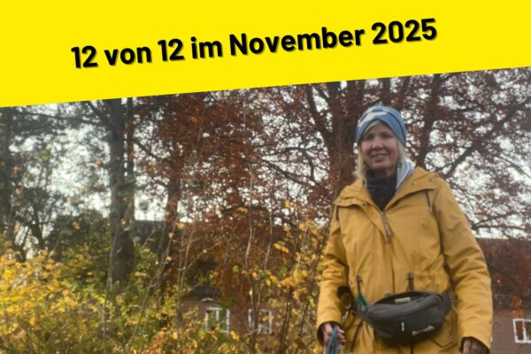 12 von 12 im November 2025
