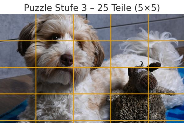 Prognose 2026 Lern- und Familiencoaching; Bild eines Bolonka Zwetnas wurde in Puzzleteile unterteilt: Überschrift: Puzzle Stufe 3