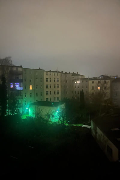 12 von 12 im Dezember: Der Tag erwacht. Es wird hell.