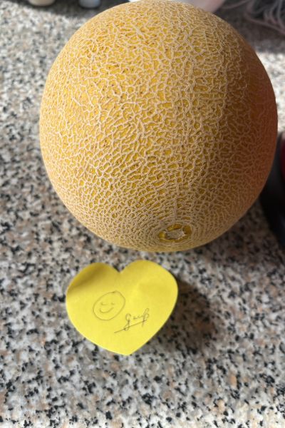 Jahresrueckblick 2025: Honigmelone