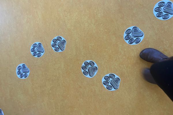 Mein November 2025: Lerncoaching Familie: Hundepfoten auf dem Fußboden