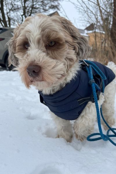 12 von 12 im Januar 2026