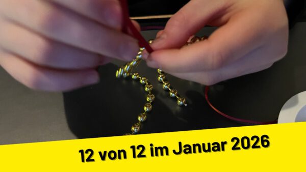 12 von 12 im Januar 2026