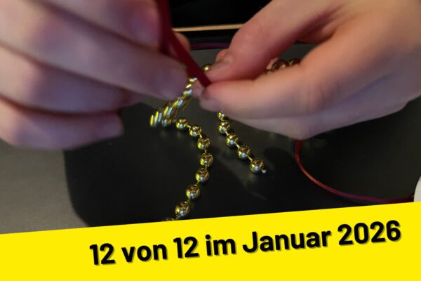 12 von 12 im Januar 2026
