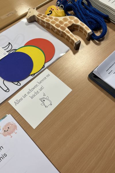 mein kind macht keine hausaufgaben: Alles ist schwer, bevor es einfach ist. bunte Karten für LifeKinetik Übungen liegen auf einem Tisch
