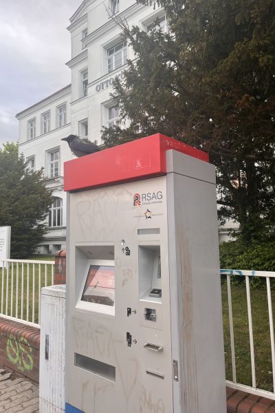 12 von 12 im Mai 2026: Fahrkartenautomat mit einem Raben auf dem Dach