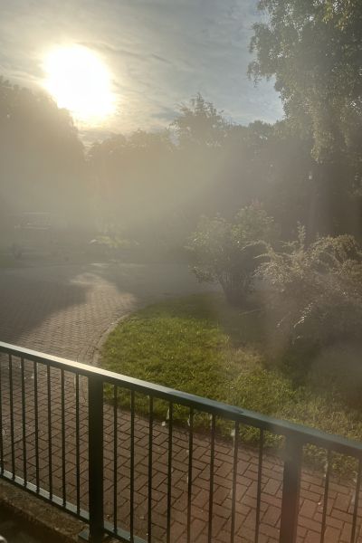 12 von 12 im Juni 2026: Morgensonne 