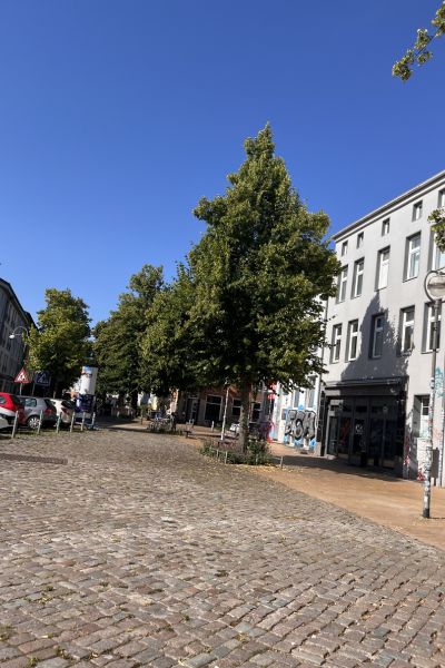 12 von 12 im Juli 2026: Margarentenplatz in Rostock