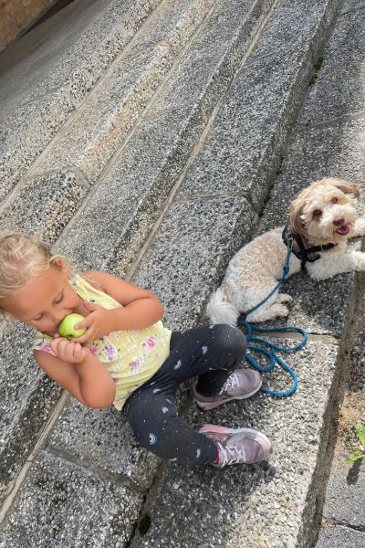 Schulhund Addi: Bolonka Zwetna liegt neben einem blonden vierjährigem Mädchen, welches auf der Straße sitzt