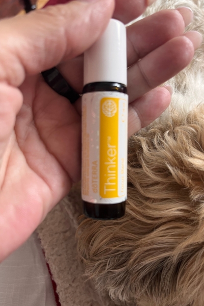 Thinker oder Wild Orange im Lerncoaching: Thinker von doTerra aus der kids Collection als Roll on in der Hand