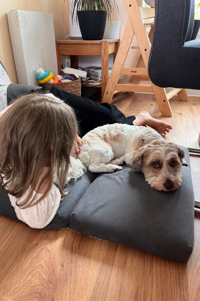 Lieblingsanwendungen für Familien mit Kindern;Kind und Hund Bolonka Zwetna liegen auf einem Kindersofa