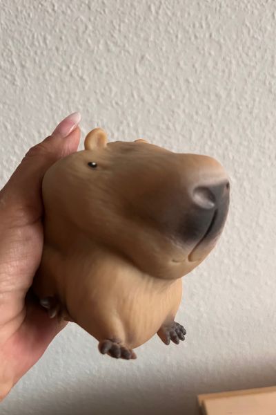 12 von 12 im September 2026: ein Capybara zum Knautschen
